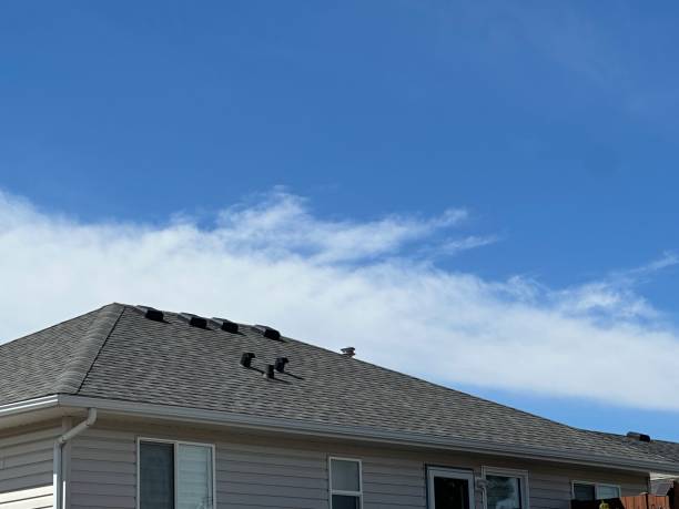 Best Gutter Installation and Repair  in Gunnison, CO